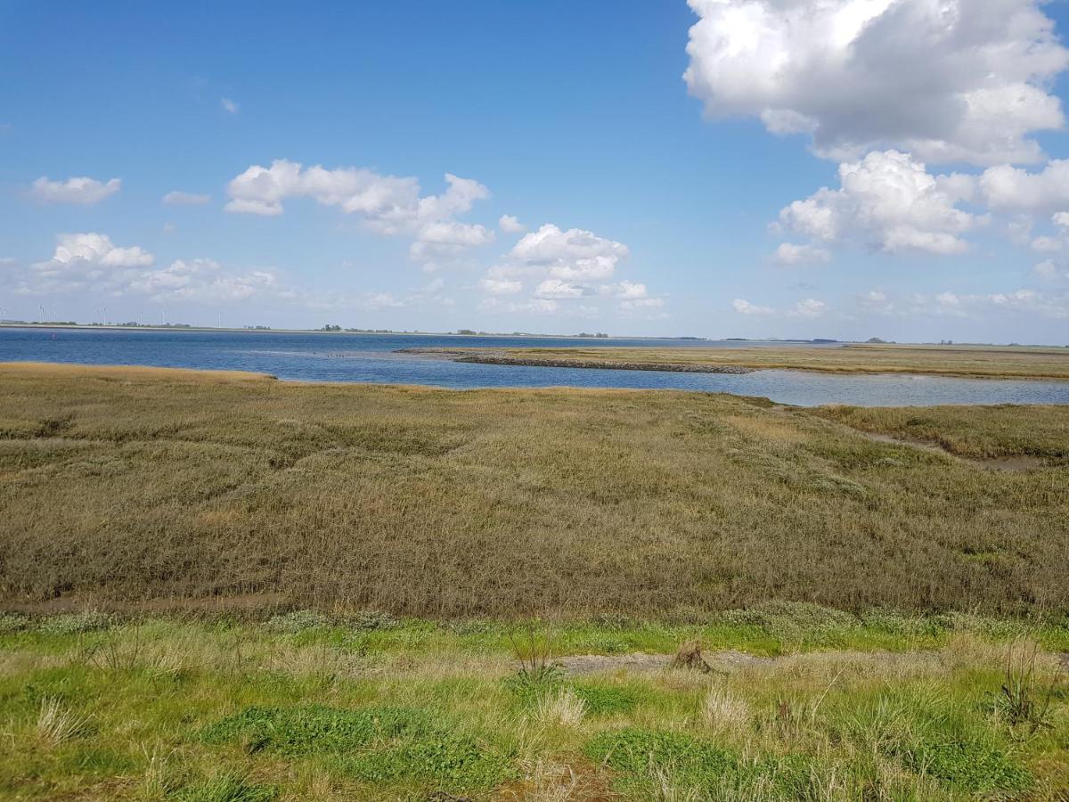 vakantiehuis in zeeland Sint-Annaland Buitenkant foto