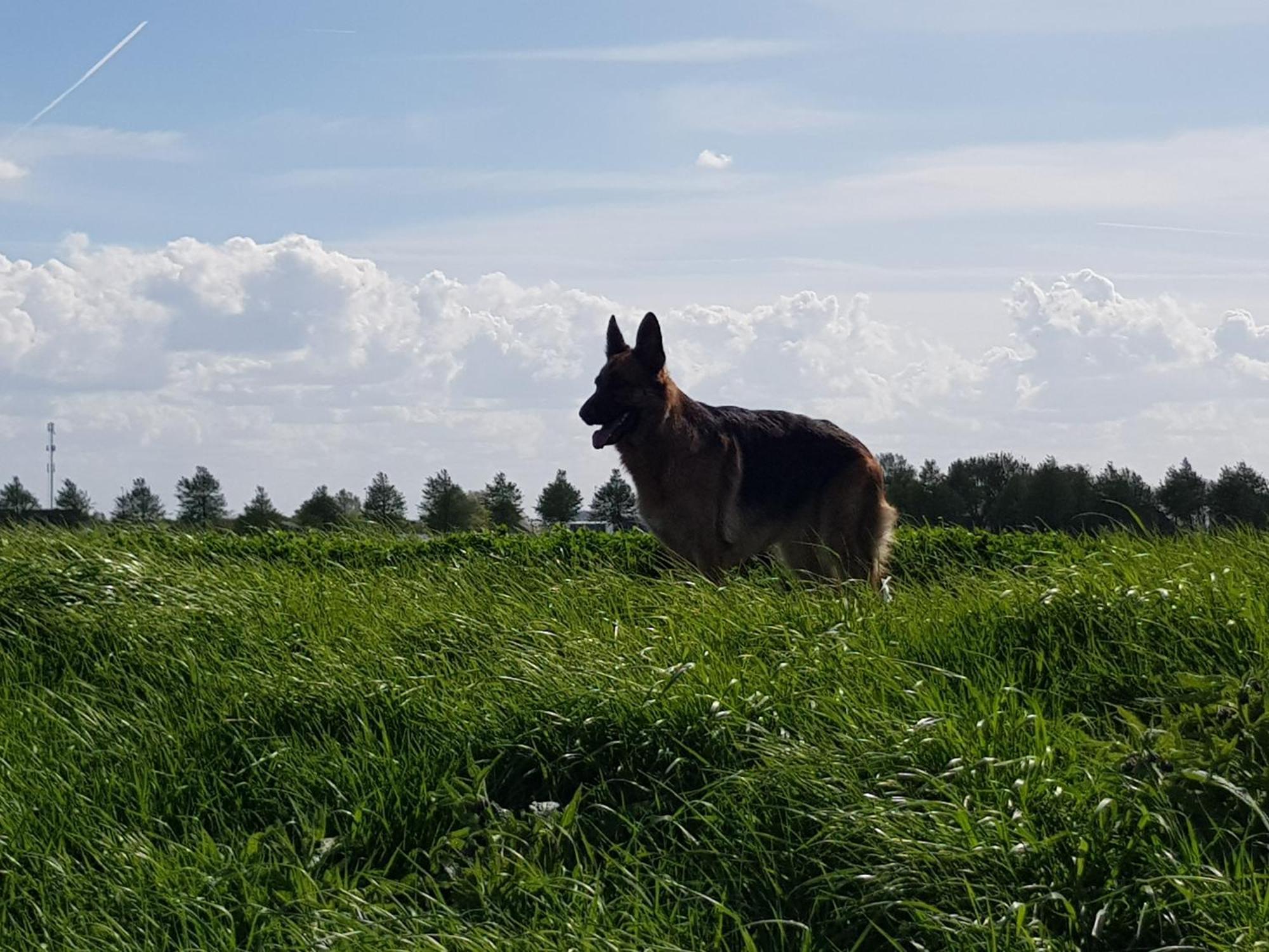vakantiehuis in zeeland Sint-Annaland Buitenkant foto